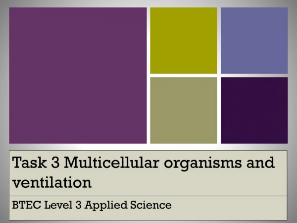 Task 3 Multicellular organisms and ventilation