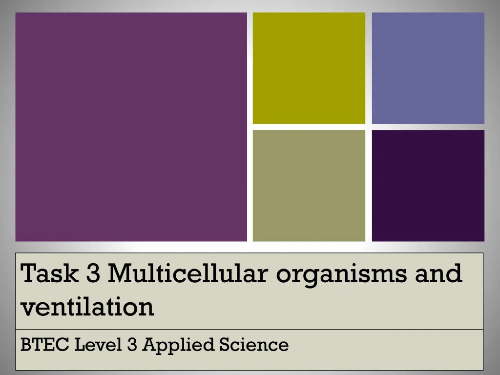 task 3 multicellular organisms and ventilation