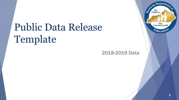 Public Data Release Template