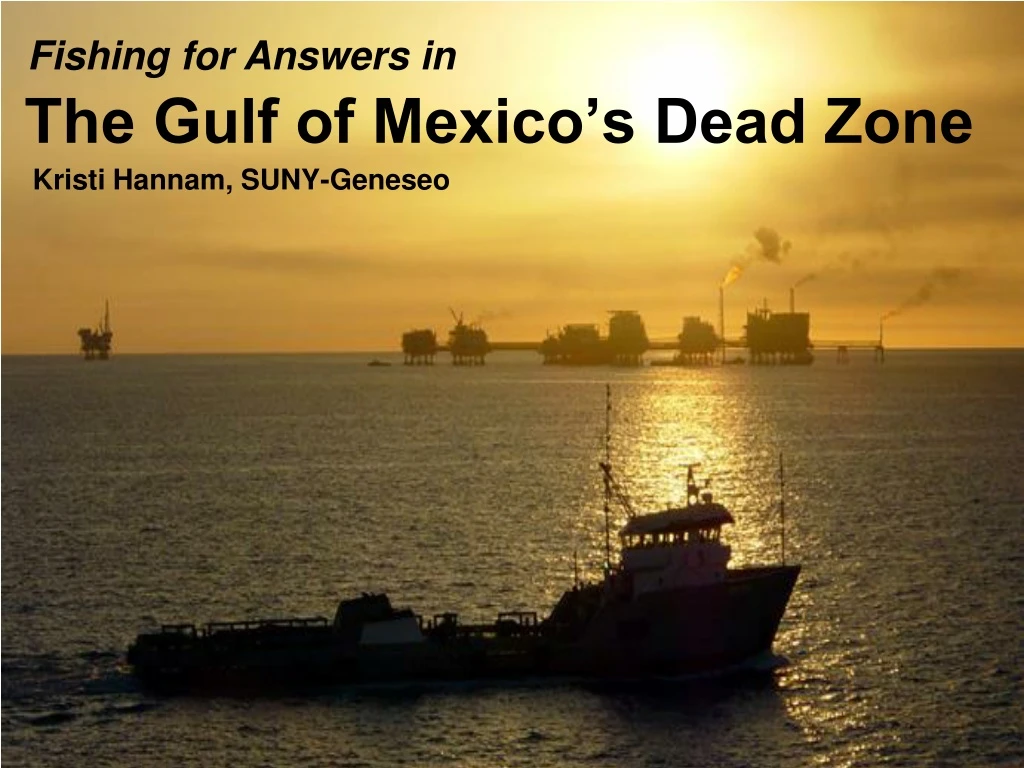 the gulf of mexico s dead zone