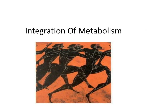 Integration Of Metabolism