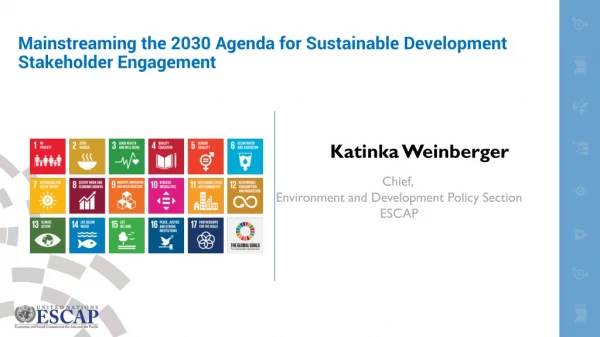 Mainstreaming the 2030 Agenda for Sustainable Development Stakeholder Engagement