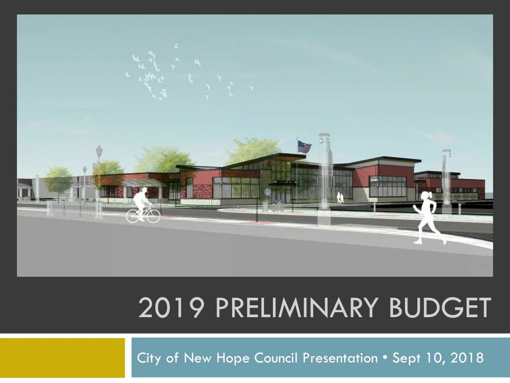 2019 preliminary budget