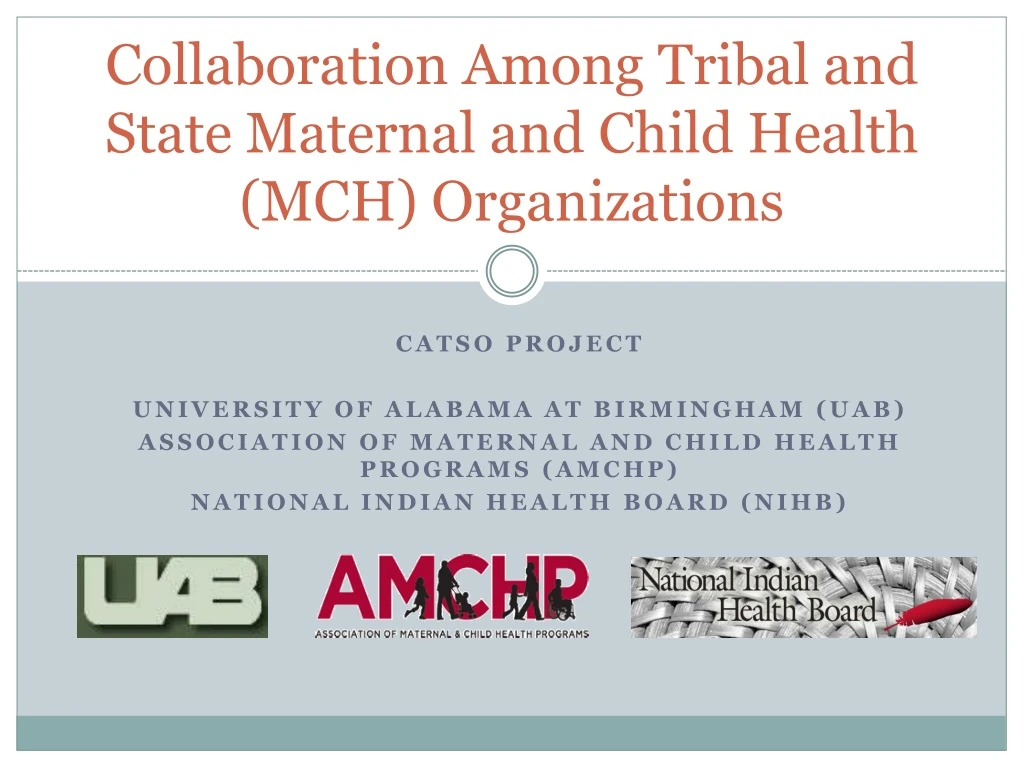 collaboration among tribal and state maternal and child health mch organizations