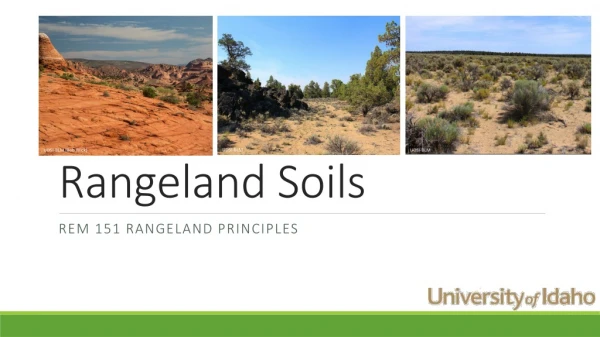 Rangeland Soils