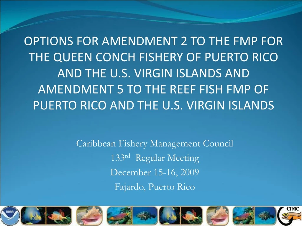 caribbean fishery management council 133 rd regular meeting december 15 16 2009 fajardo puerto rico