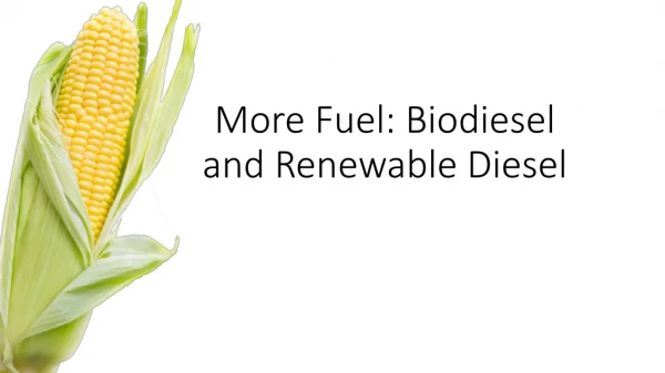 More Fuel: Biodiesel and Renewable Diesel