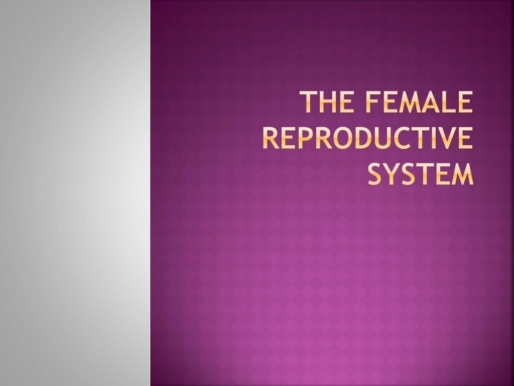 the female reproductive system