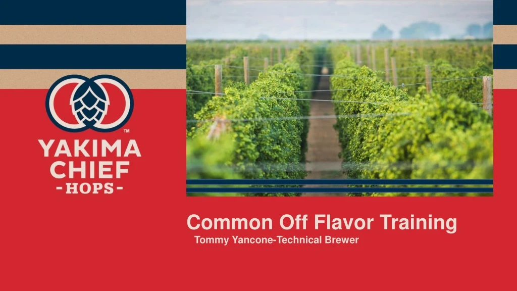 common off flavor training