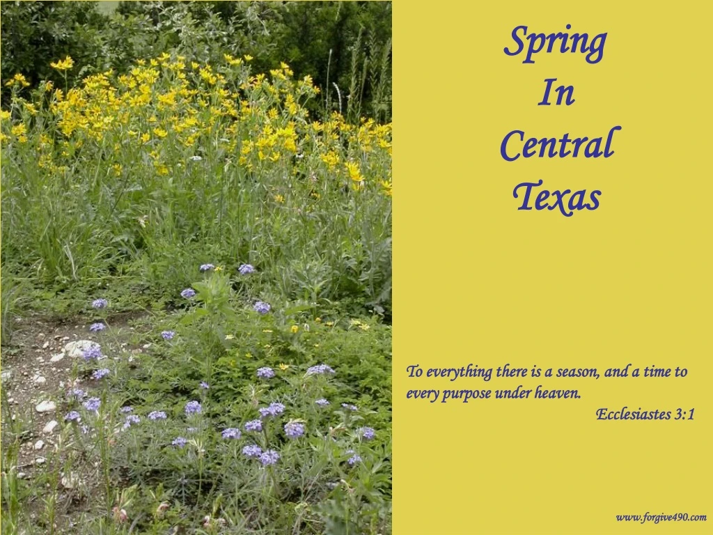 spring in central texas