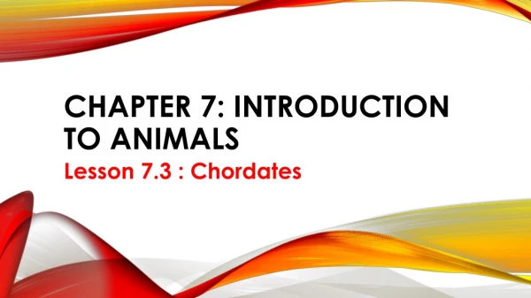Chapter 7: Introduction to animals