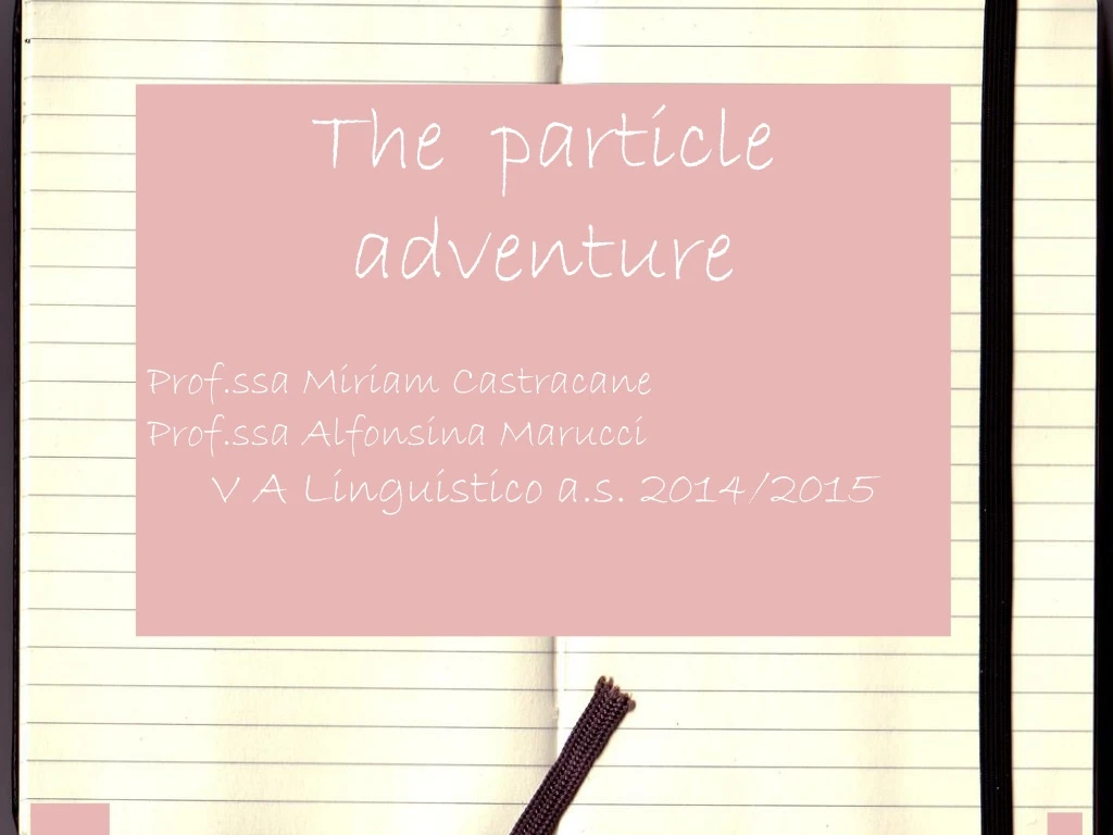 the particle adventure prof ssa miriam castracane
