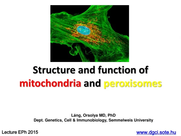 Structure and function of mitochondria and peroxisomes
