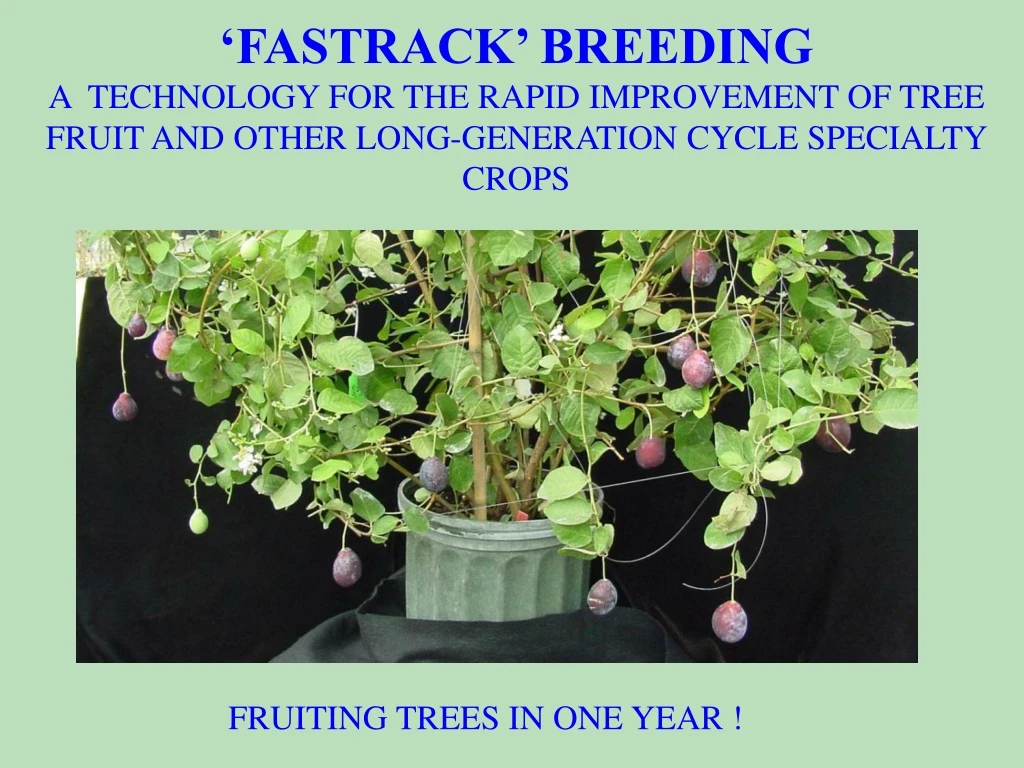 fastrack breeding a technology for the rapid