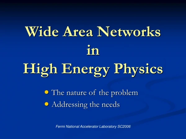 Wide Area Networks in High Energy Physics