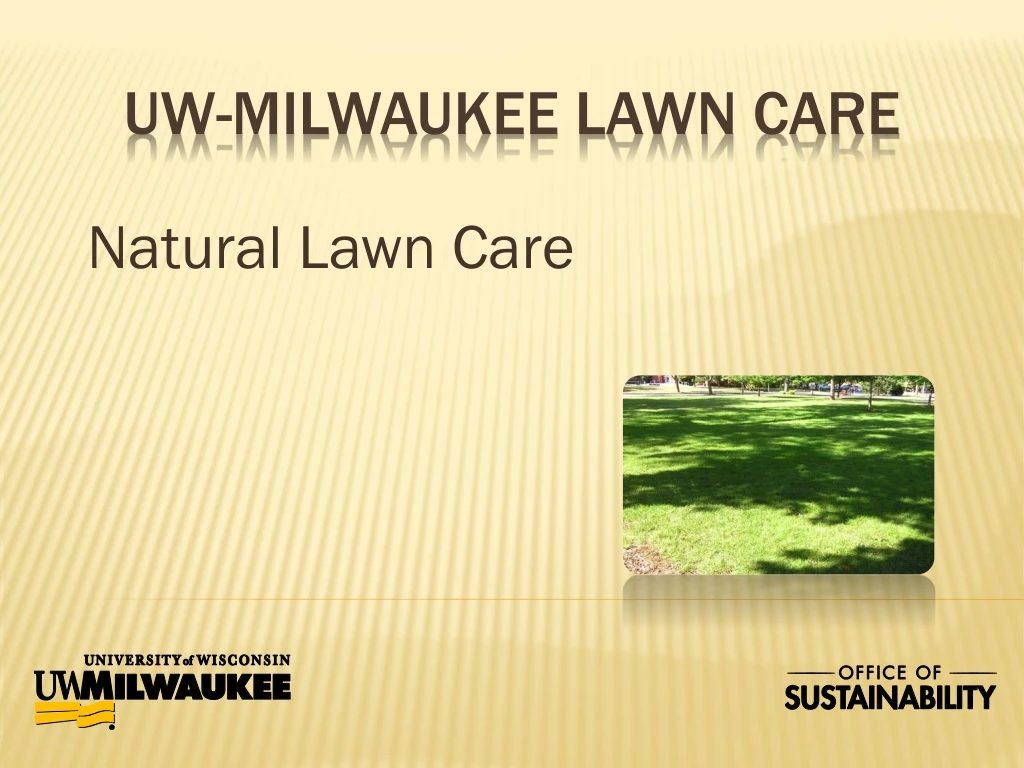 natural lawn care