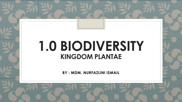 1.0 biodiversity kingdom plantae