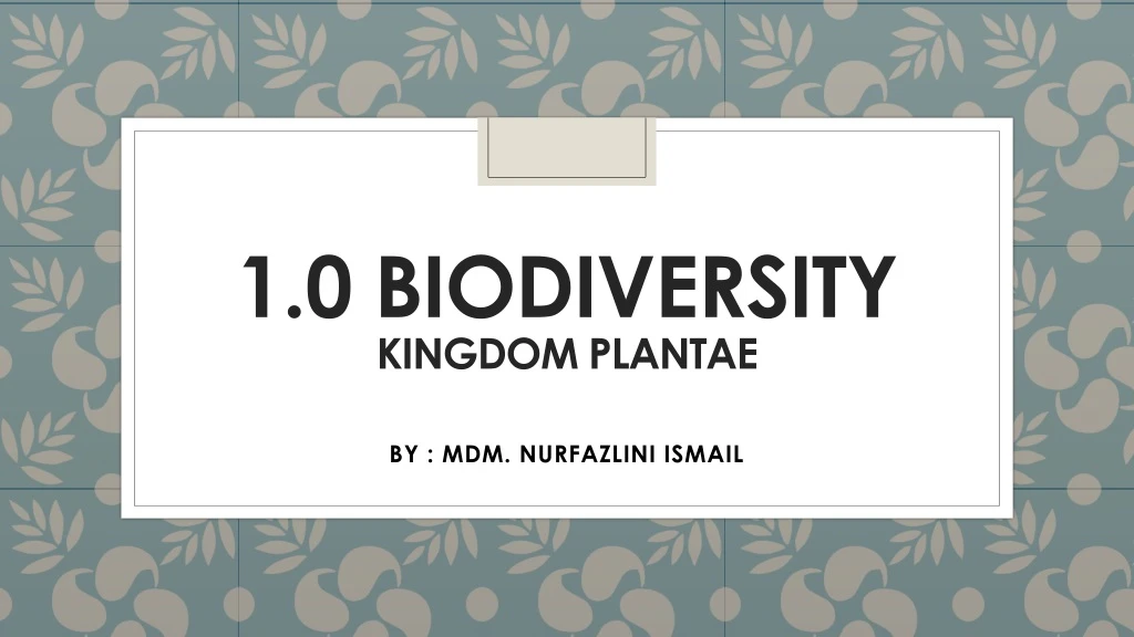 1 0 biodiversity kingdom plantae
