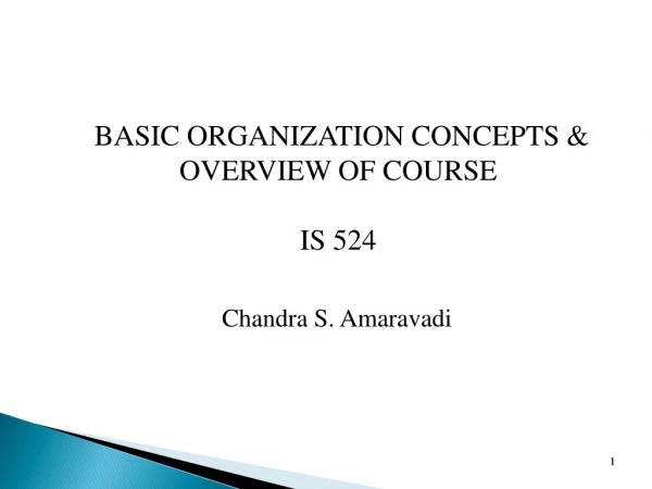 BASIC ORGANIZATION CONCEPTS &amp; OVERVIEW OF COURSE IS 524
