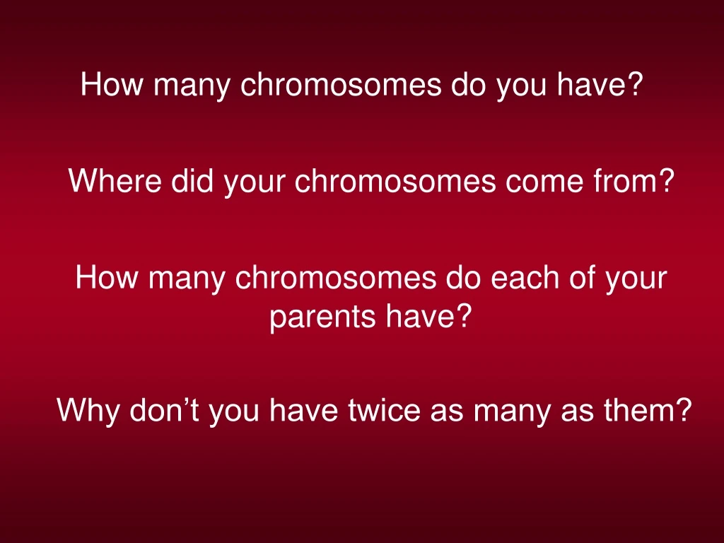 how many chromosomes do you have