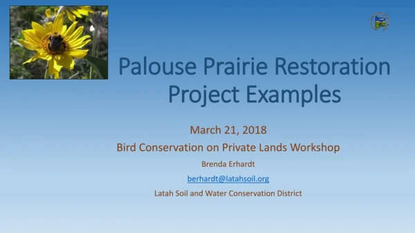 Palouse Prairie Restoration Project Examples
