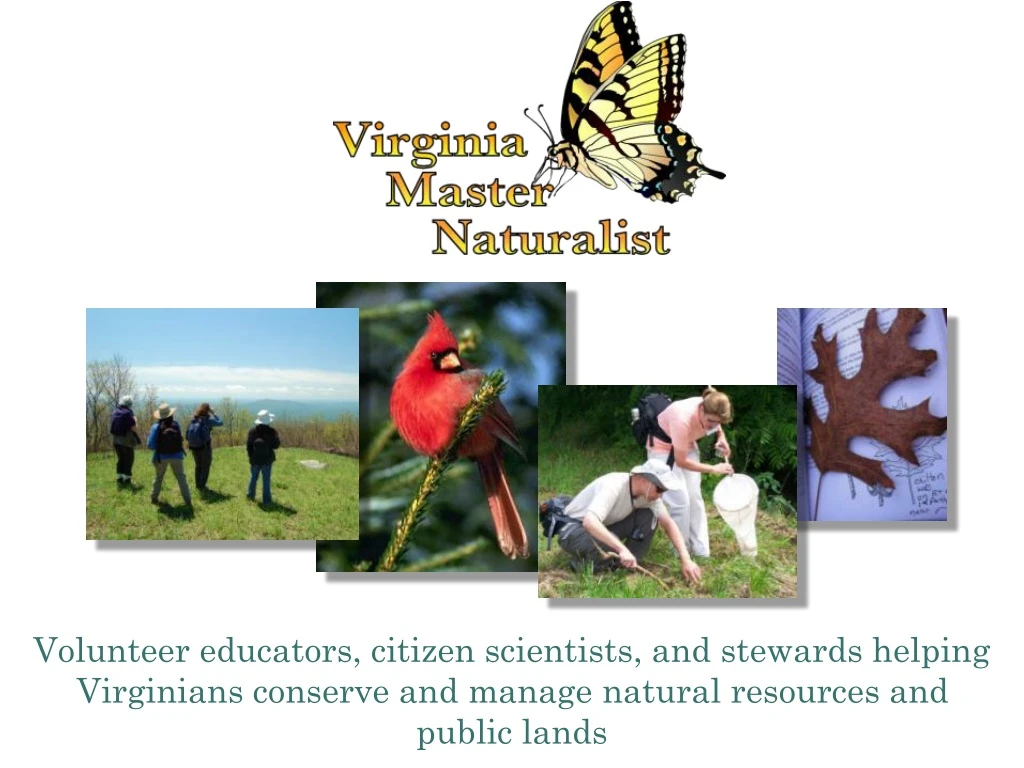 volunteer educators citizen scientists