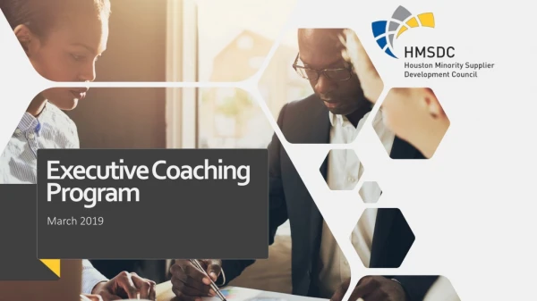 Executive Coaching Program