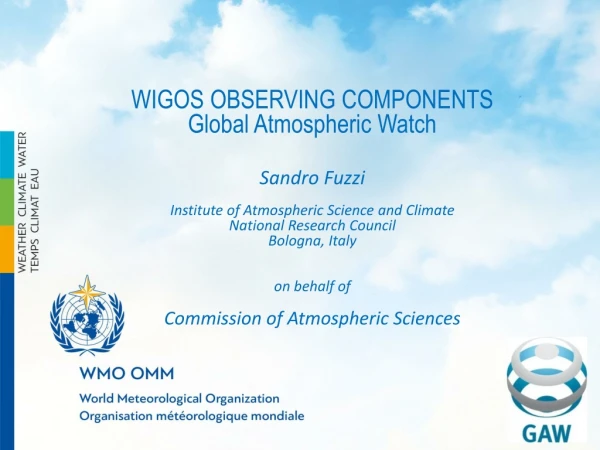 WIGOS OBSERVING COMPONENTS Global Atmospheric Watch Sandro Fuzzi