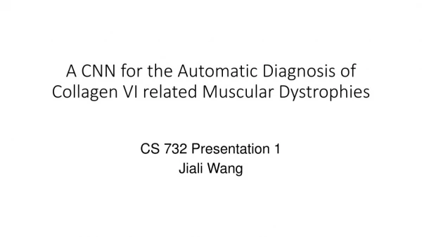 A CNN for the Automatic Diagnosis of Collagen VI related Muscular Dystrophies
