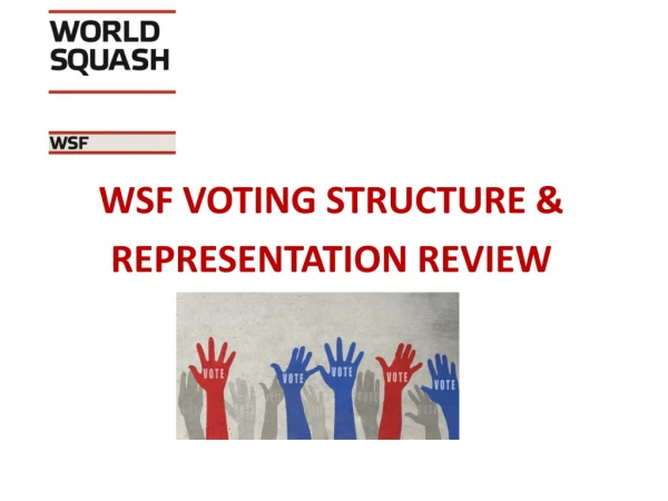 WSF VOTING STRUCTURE &amp; REPRESENTATION REVIEW