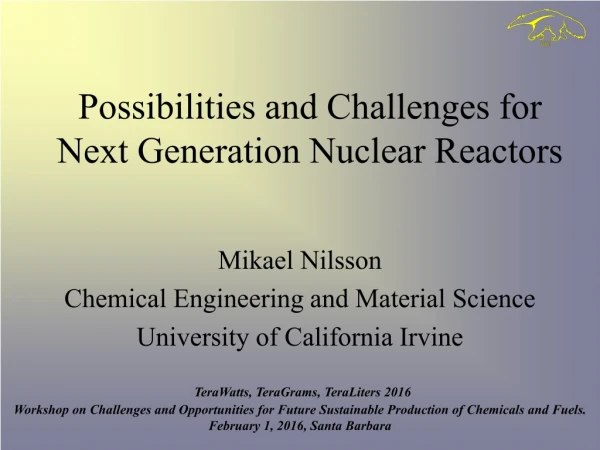 Possibilities and Challenges for Next Generation Nuclear Reactors