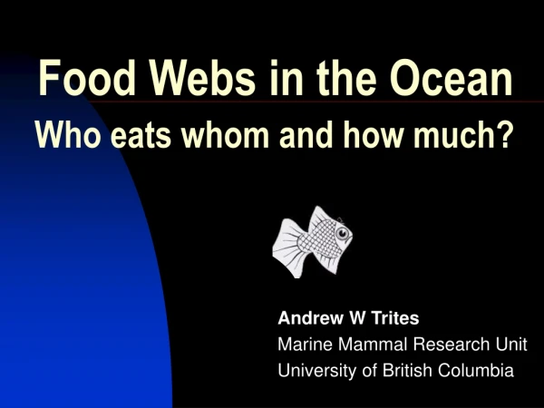 Food Webs in the Ocean