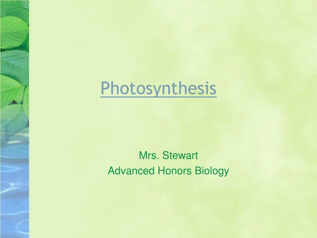 photosynthesis