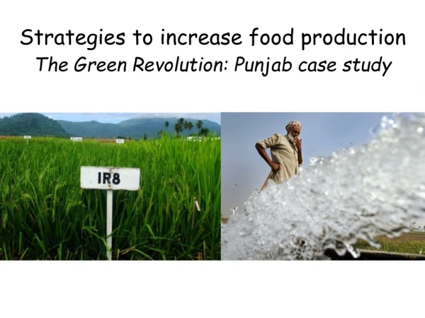 Strategies to increase food production The Green Revolution: Punjab case study