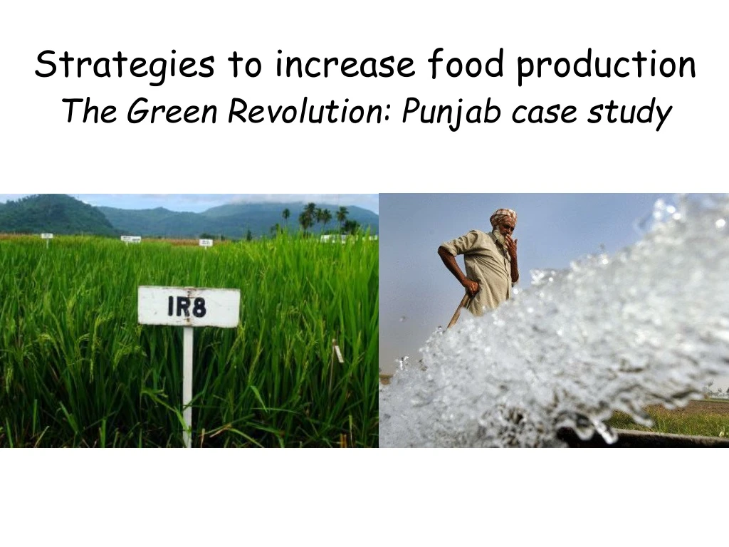 strategies to increase food production the green