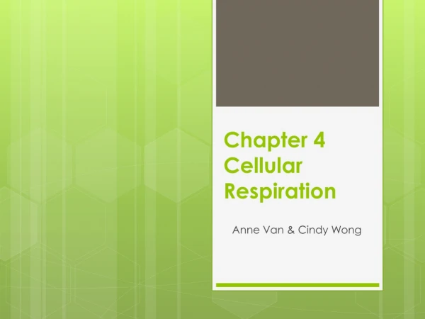 Chapter 4 Cellular Respiration