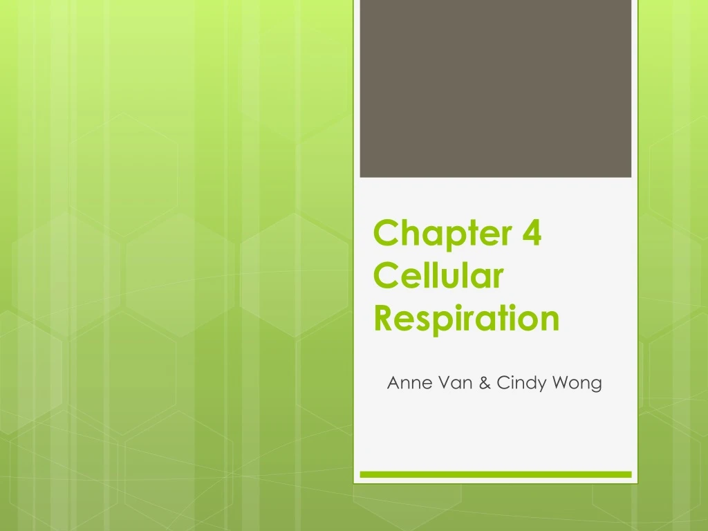 chapter 4 cellular respiration