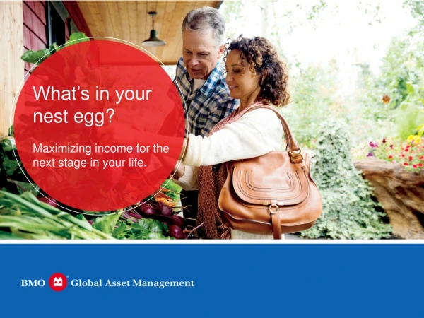 What’s in your nest egg? Maximizing income for the next stage in your life .