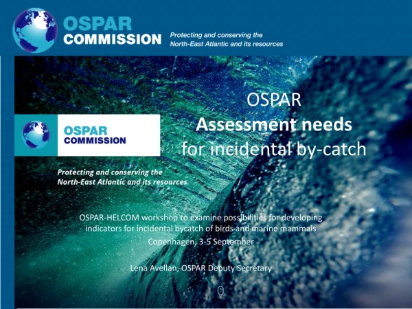 OSPAR Assessment needs for incidental by-catch
