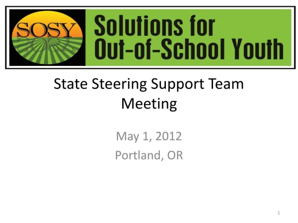 State Steering Support Team Meeting