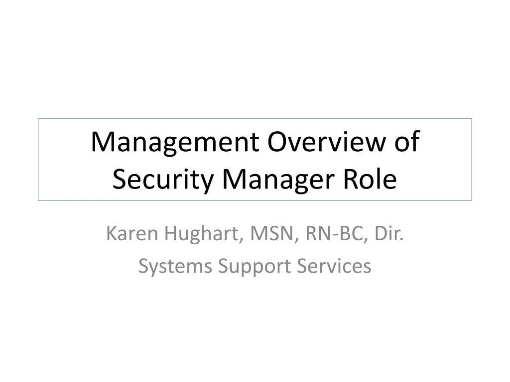 management overview of security manager role