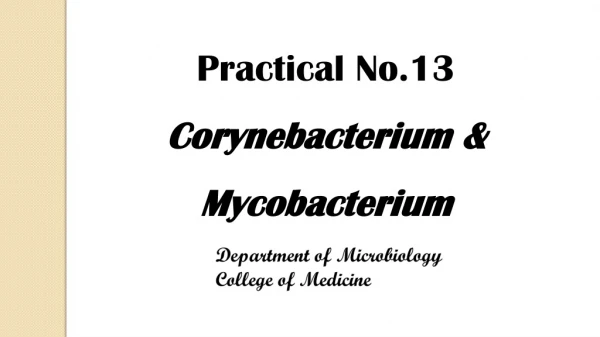 Practical No.13 Corynebacterium &amp; Mycobacterium