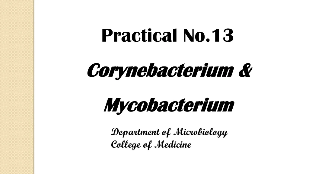 practical no 13 corynebacterium mycobacterium