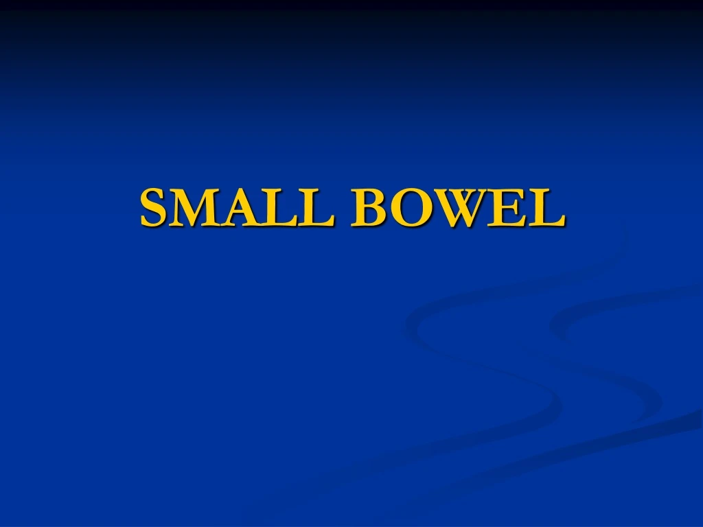 small bowel