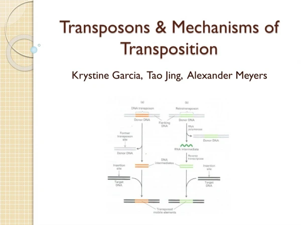 Transposons &amp; Mechanisms of Transposition