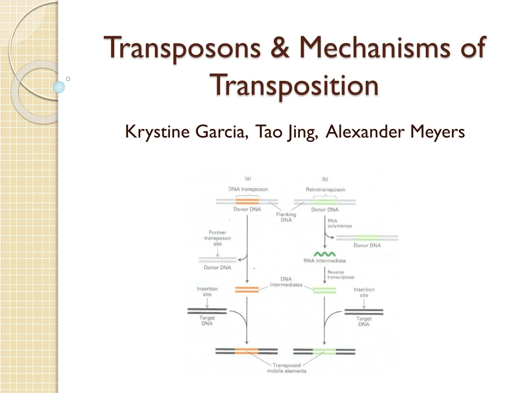 transposons mechanisms of transposition