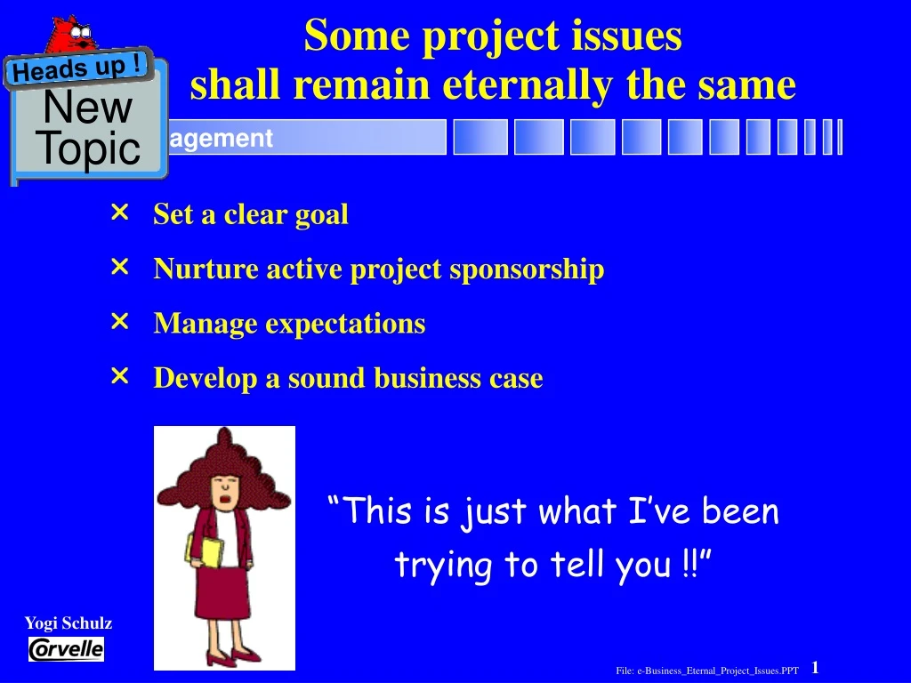 some project issues shall remain eternally the same