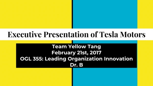 Executive Presentation of Tesla Motors