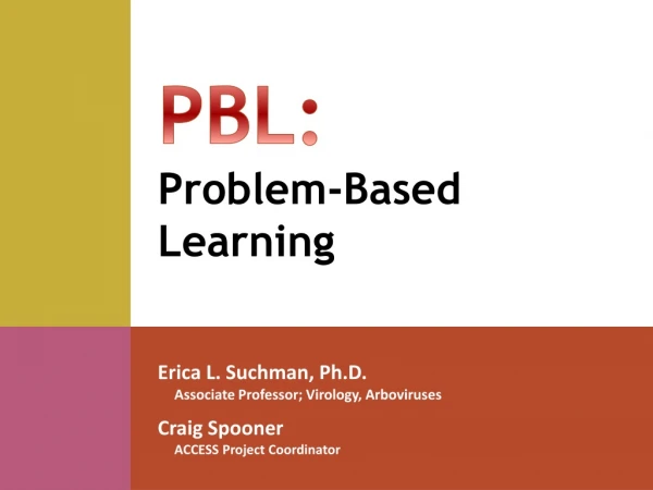 PBL: Problem-Based Learning