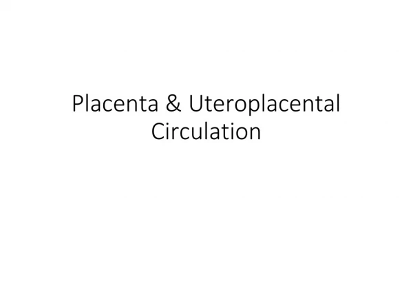 Placenta &amp; Uteroplacental Circulation